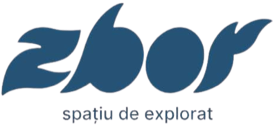 Zbor Hub Timișoara